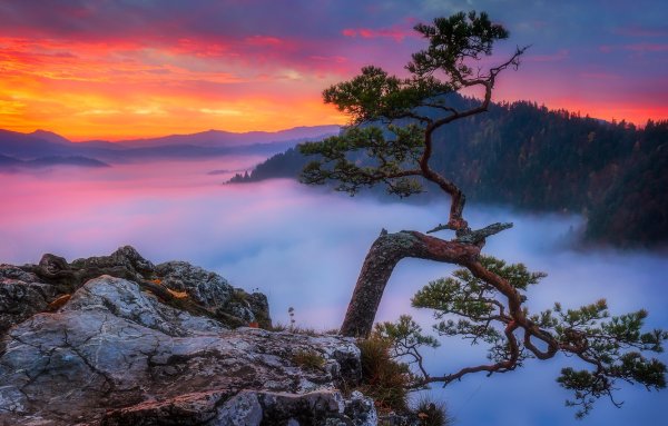 Скалы фотобаш