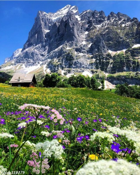 Бернские Альпы