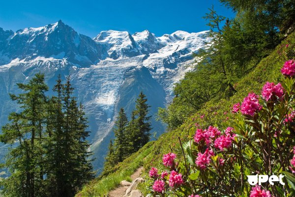 Франция Альпы Монблан