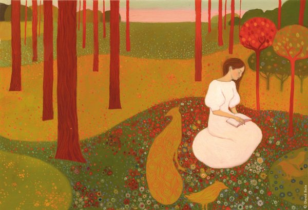 Иллюстратор: David sala