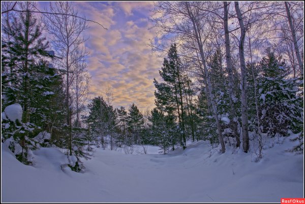 Месяц декабрь пейзаж