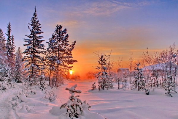 Декабрьский пейзаж