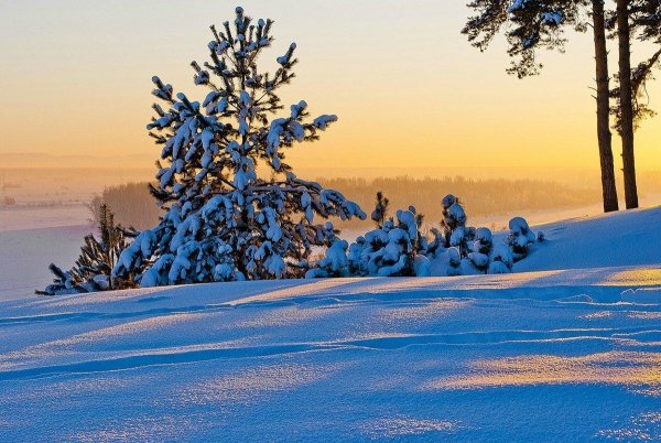 Декабрьский пейзаж