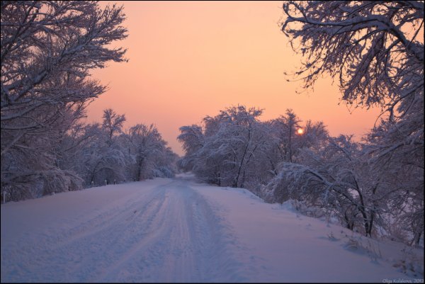 Декабрьский снег