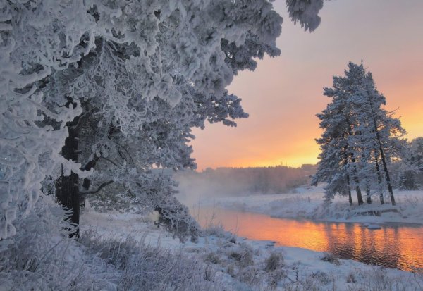 Зима декабрь