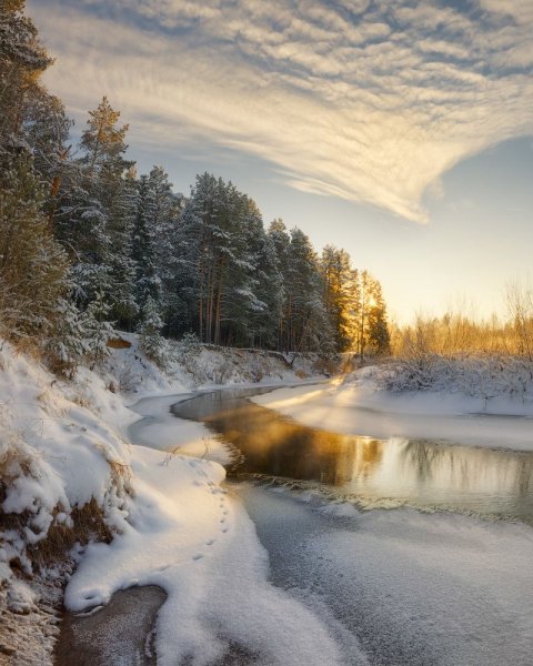 Зимний пейзаж