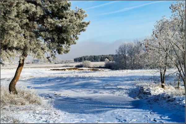 Природа в начале декабря