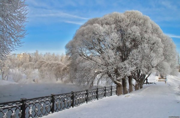 Декабрь пейзаж
