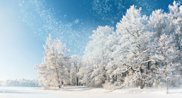 Январь картинки