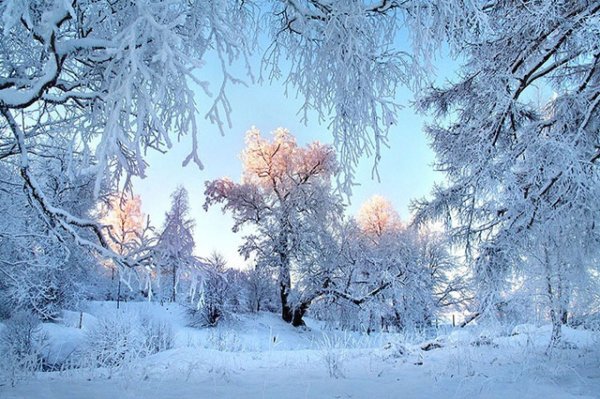 Зимушка зима