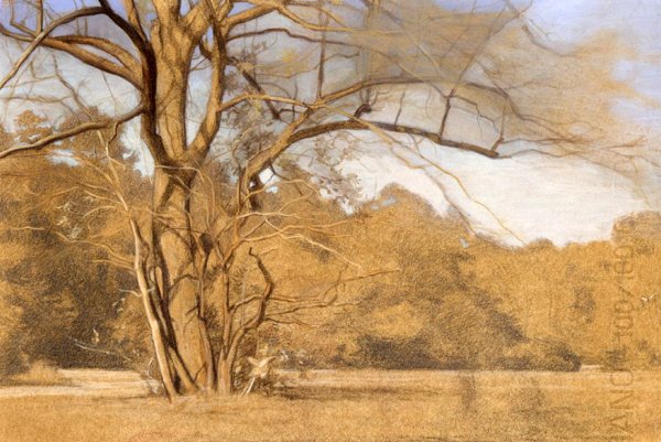 Пейзаж сангиной 19 век Шишкин