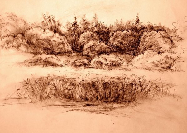 Зарисовки пейзажа мягким материалом