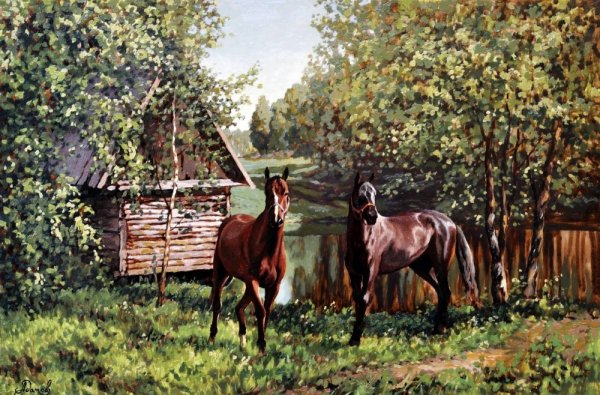 Кони красивые на ферме