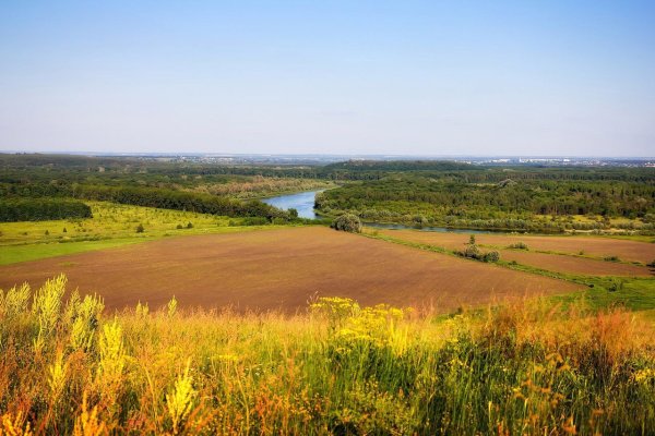 Павловск на Дону Воронежская область