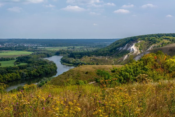 Река Дон в Воронежской области
