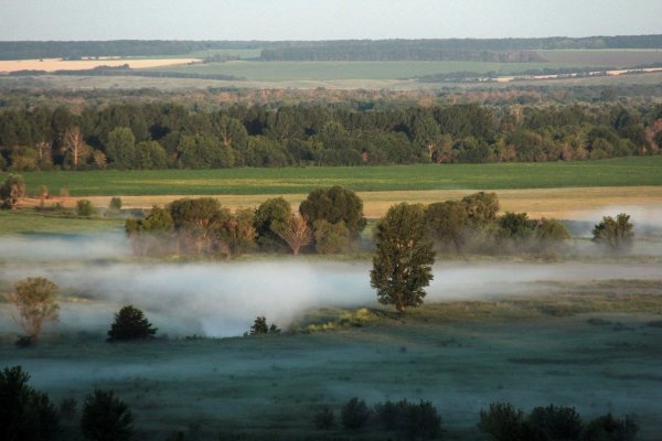 Воронежская область поверхность края