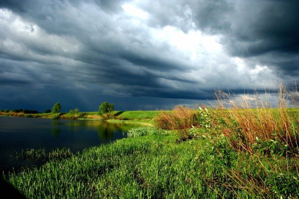 Урочище Кривоборье