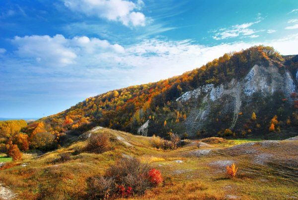 Река Дон Воронежская область Лиски