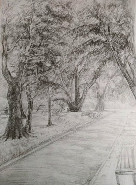 Парк карандашом