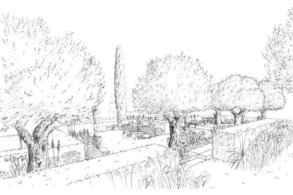 Аллея деревьев карандашом