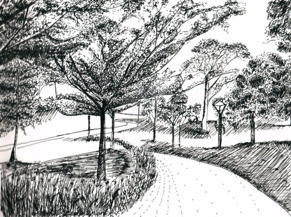 Сад рисунок панорама