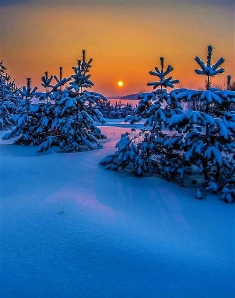 Красивая природа зима