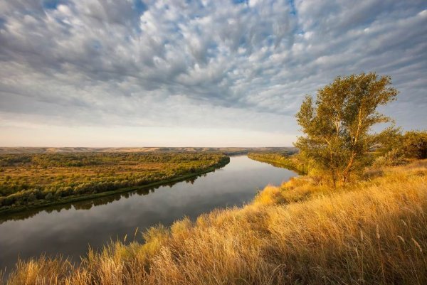 Донские степи Ростовской области