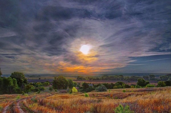 Донской пейзаж Ростовской области