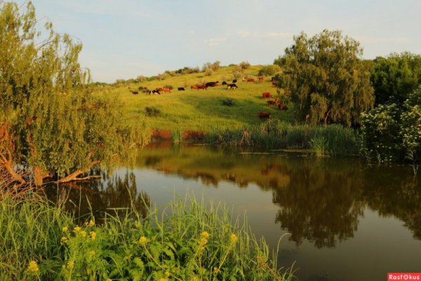 Природа Донского края Новочеркасска