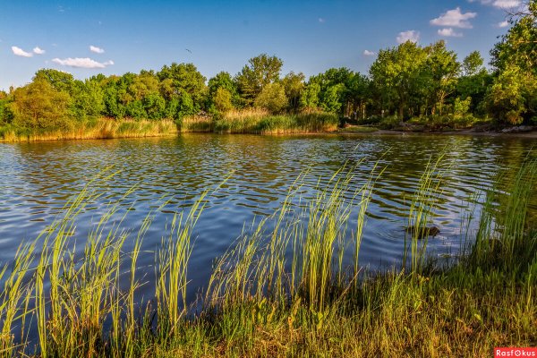 Липовый Донец река Белгород