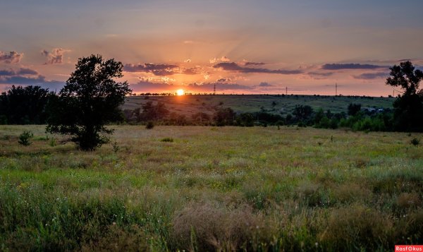 Река Дон Хутор степь