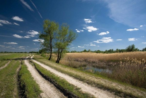 Донской пейзаж Ростовской области