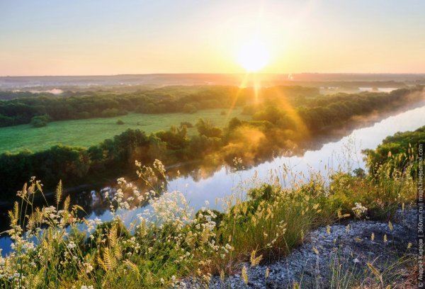 Природа Донского края Волгодонск