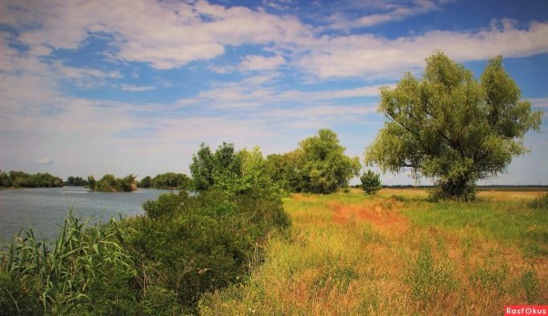 Ростовская область Донской край степи