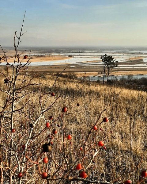 Река Усманка мостки