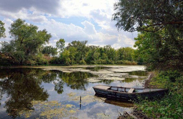Ростов на Дону пейзажи Донской природы