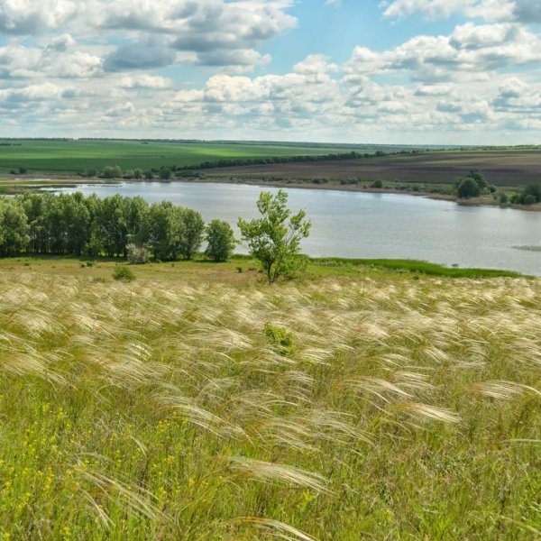 Донская степь Ростовская область
