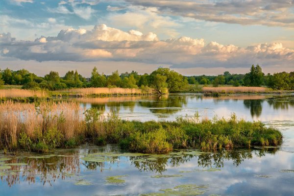 Липецк природа