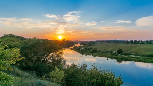 Река сосна Липецкая область