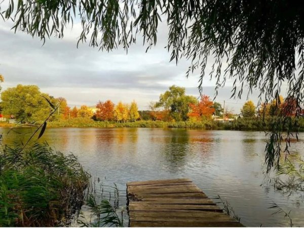 Природа города Липецка