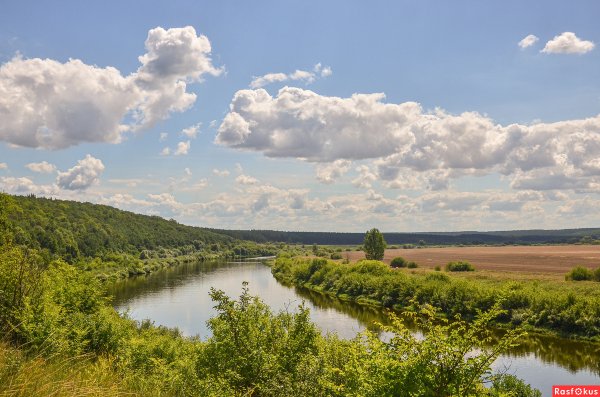Природа Липецкой области