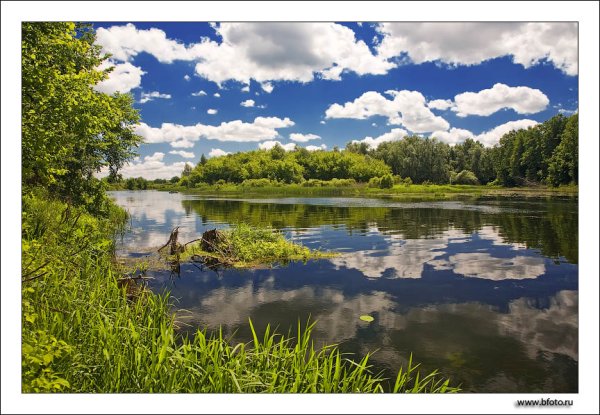 Природа Липецкой области Воронеж река