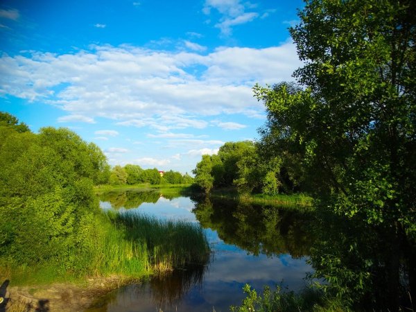Усманка река Воронеж