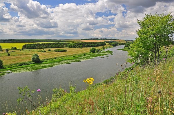 Пейзажи Липецкой области