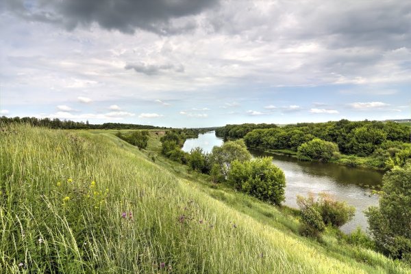 Река сосна Липецкая область