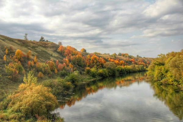 Река Дон в Липецкой области