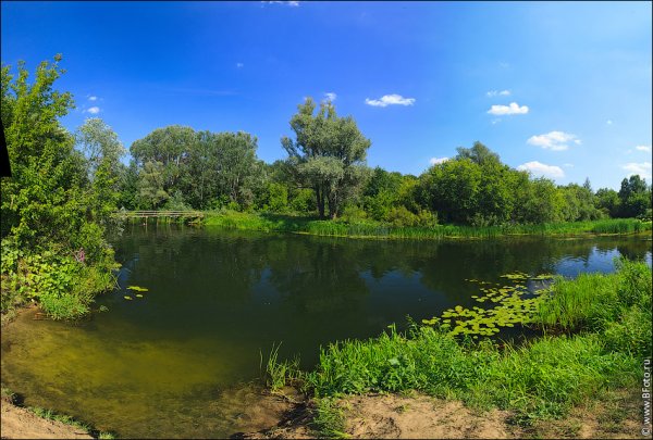 Пруды Липецкой области