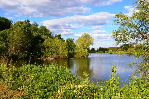 Природа Липецкой области