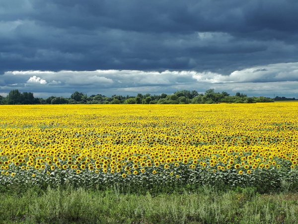 Климат Липецкой области Летто