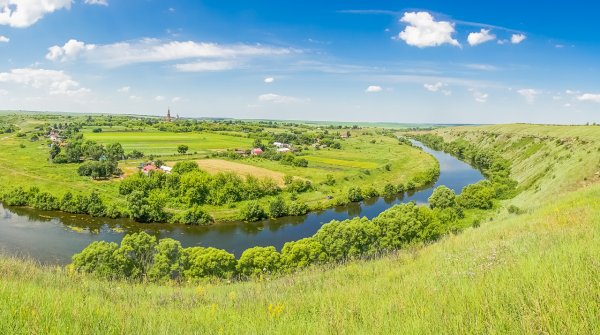 Поля Липецкой области